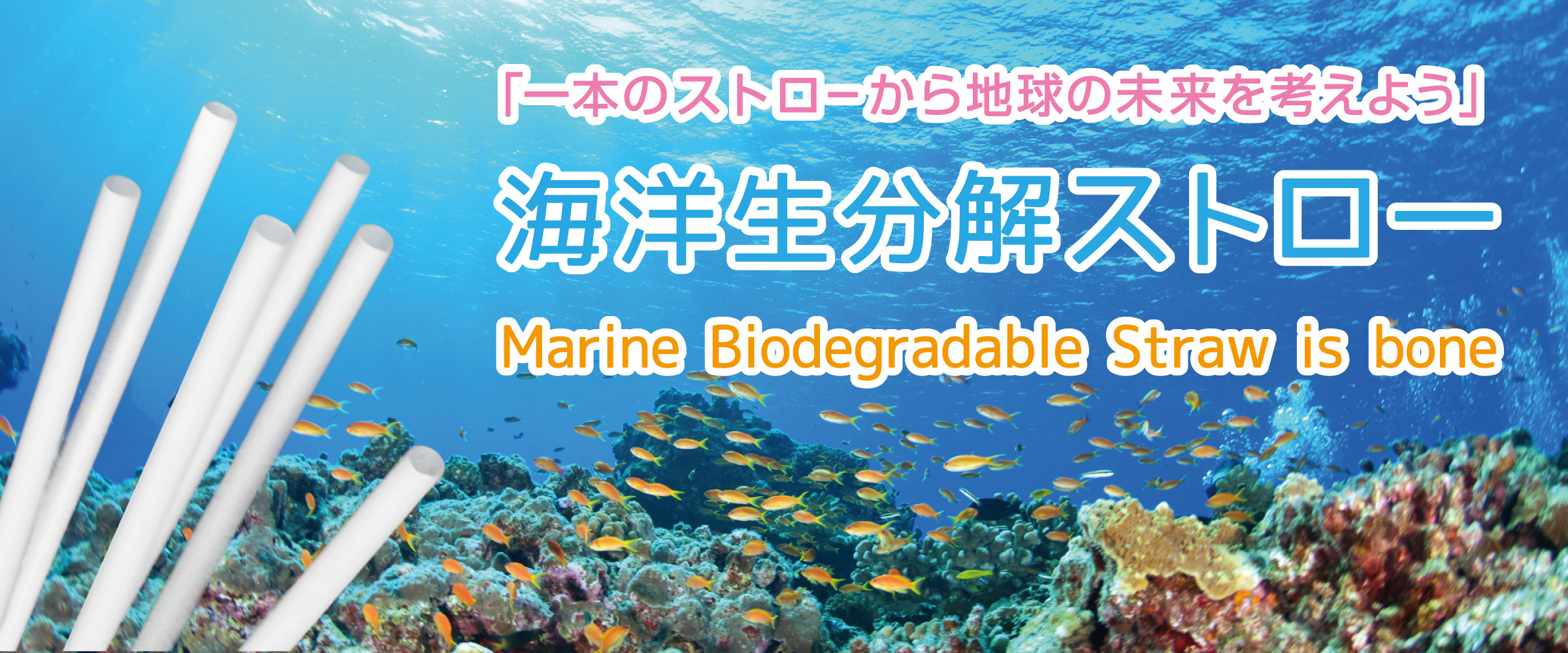 海洋生分解性ストロー by FORZEAS