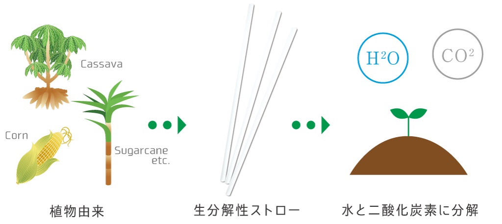 自然界で分解